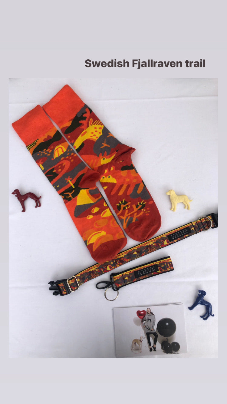 Swedish Fjallraven Trail Buckle Collar with matching Nebouxii socks