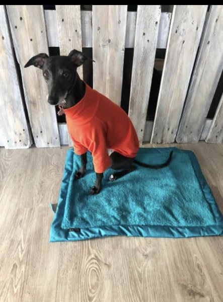 Foldable dog blanket - sixfeetdogwear