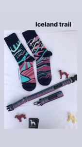 Iceland Buckle Collar with matching Nebouxii socks