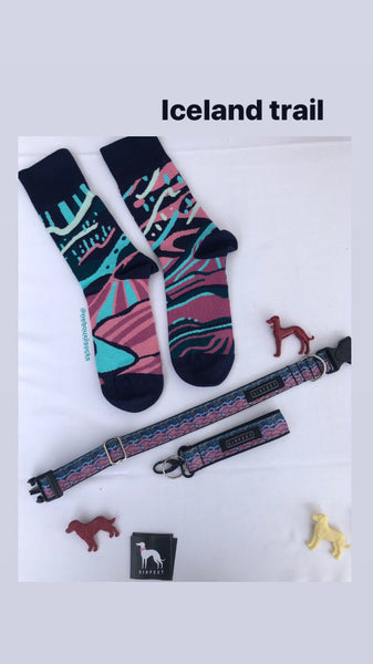 Iceland Buckle Collar with matching Nebouxii socks
